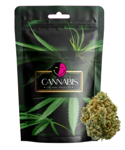 Blue Dream Flower